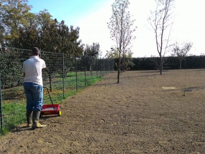 Archisio - Claudio Raiteri Verde Giardino - Progetto Irrigazione rigenerazione pratorigenerazione pratotree climbingisolamento solai