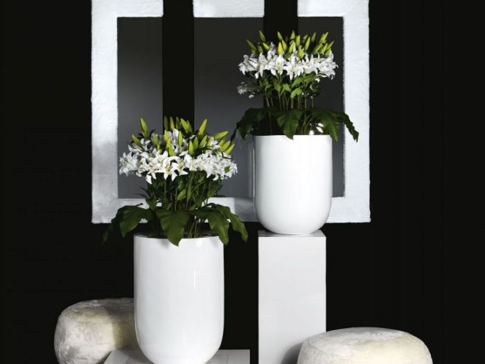 Archisio - Jupiter International srl - Progetto Set arrangement - composizioni floreali