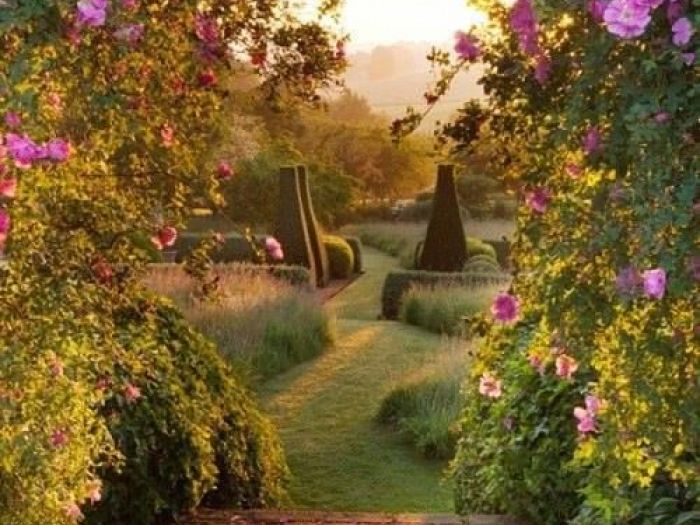 Archisio - Vivai Cantatore - Progetto Piante