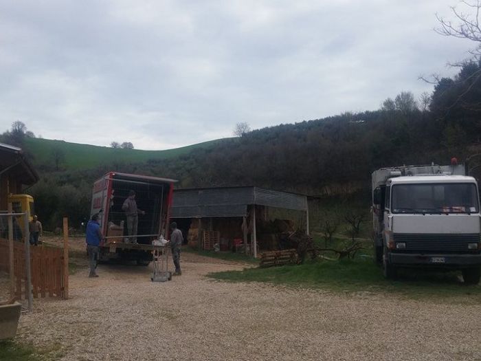 Archisio - Traslochi Camilli - Progetto Traslochi