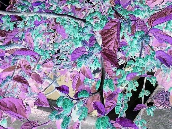 Archisio - Gianluca Vetrugno Meltem Kosan the Art Of The Negative - Artisti - Progetto Galleria 1 fotografie astratte