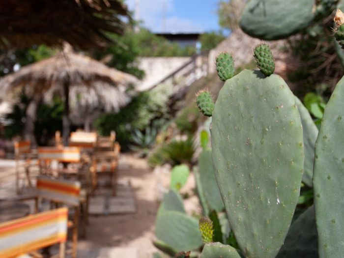 Archisio - Alessandro Pablo Perrone - Progetto L oasi botanique hotel