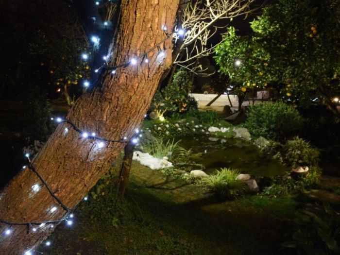 Archisio - Architetto Del Paesaggio Designer Del Verde - Progetto Laghetto decorativo