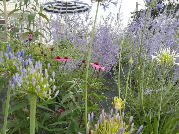 Archisio - Fabio Uguccioni - Progetto Un giardino tra le colline Country house a senigallia an