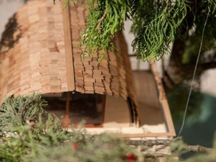 Archisio - Casalberi - Progetto Suite sugli alberi