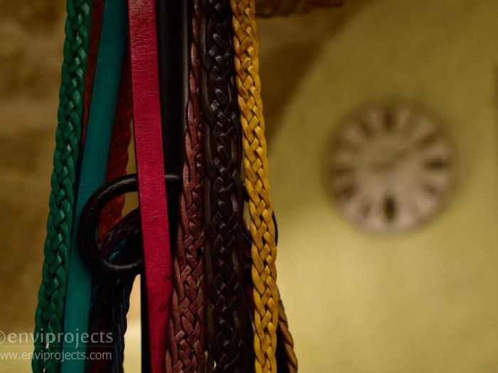 Archisio - Enviprojects - Progetto Bizarre