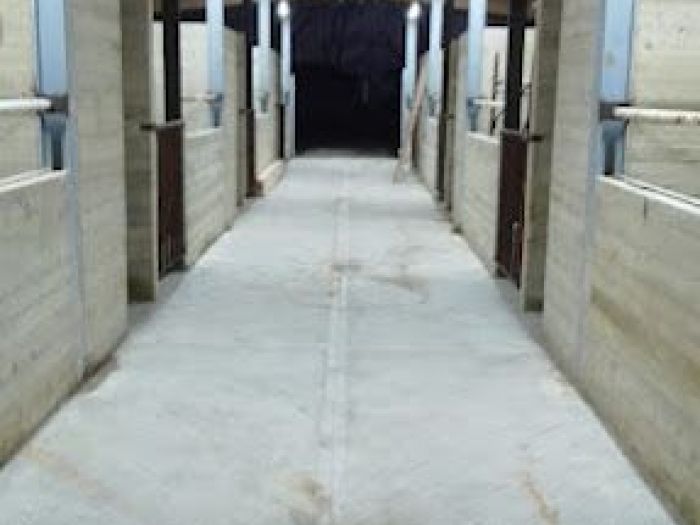 Archisio - Domenico Guadagni - Progetto Realizzazione di un maneggio per cavalli