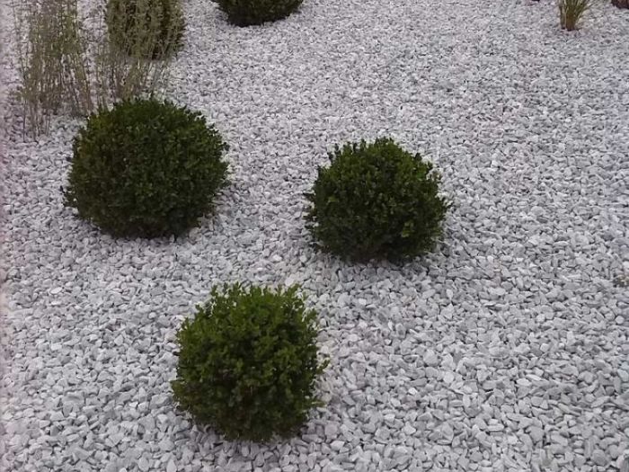 Archisio - Lucia Panzetta - Progetto Rotatoria di lanciano