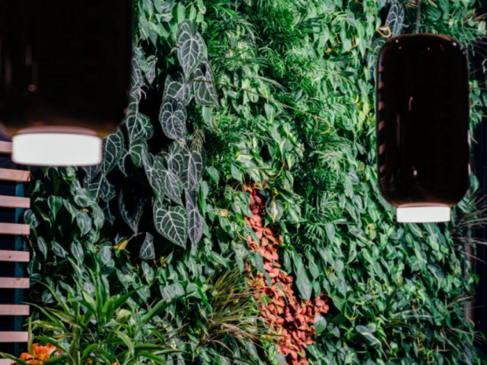 Archisio - Massimo Manfredini - Progetto Wood-gastrobar