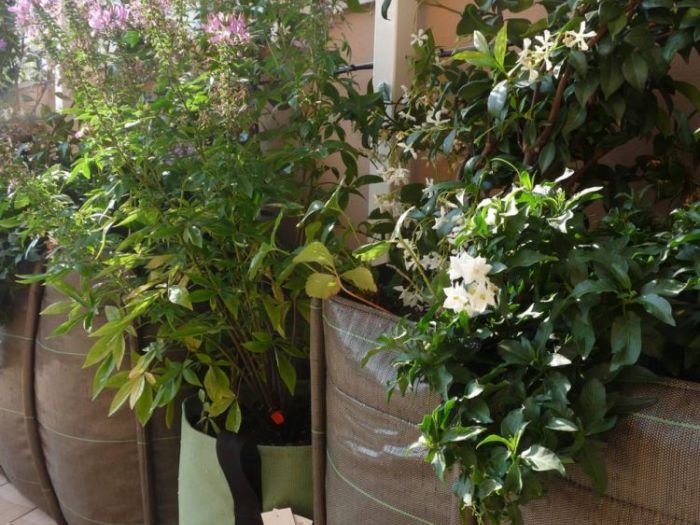 Archisio - Gardenstudio - Progetto Gardenstudio