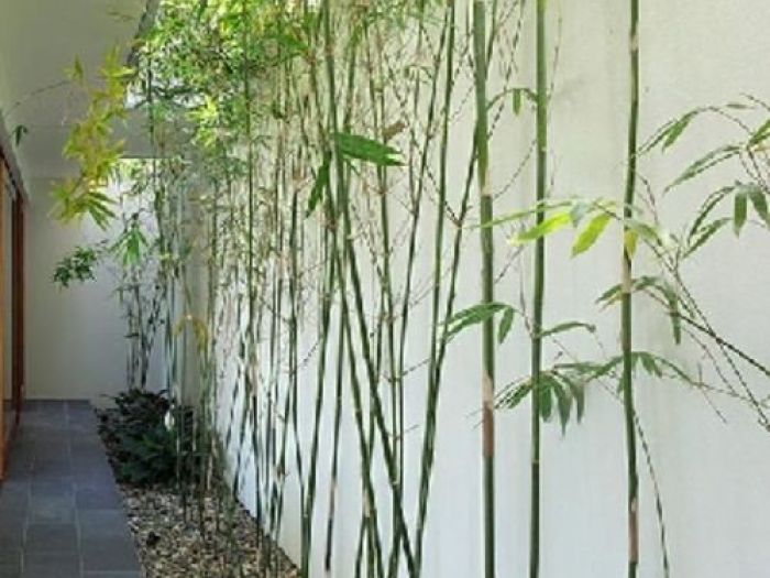 Archisio - Dotto Francesco Consulting Green - Progetto Crea ambiente salubre interno