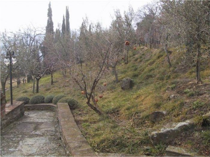 Archisio - Francesca Bertini - Progetto Villa maciranotta