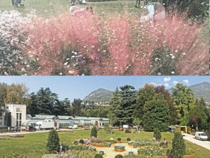 Archisio - Simone Ottonello - Progetto Premio foglia doro