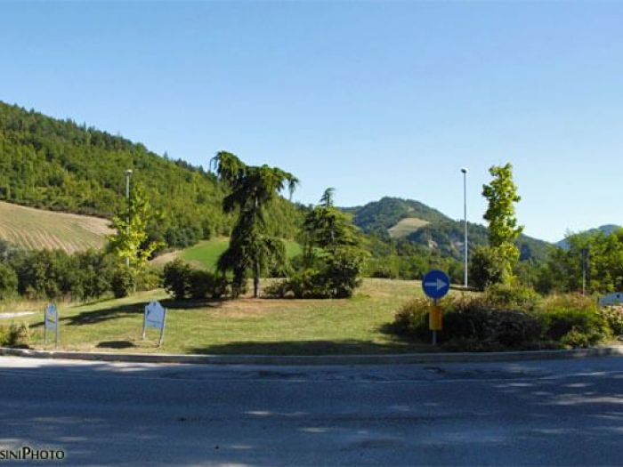 Archisio - Balsamini Gardens Pool Design - Progetto Giardini