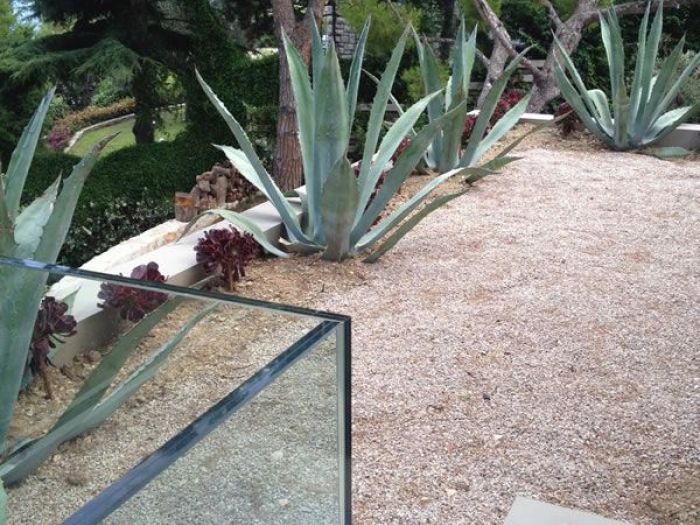 Archisio - Carlo Maria Maggia - Progetto Giardini