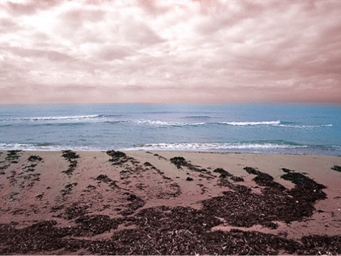 Archisio - Patrizia Savarese - Progetto Fotografia