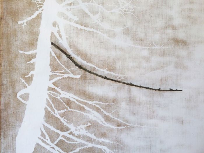 Archisio - Studio Cc - Progetto Champorcher