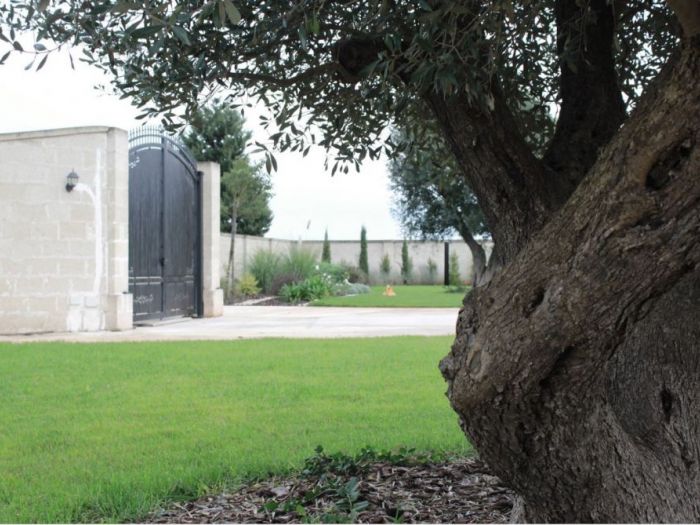 Archisio - Gabriele Fanuli - Progetto Nel giardino di gianluigi e barbara