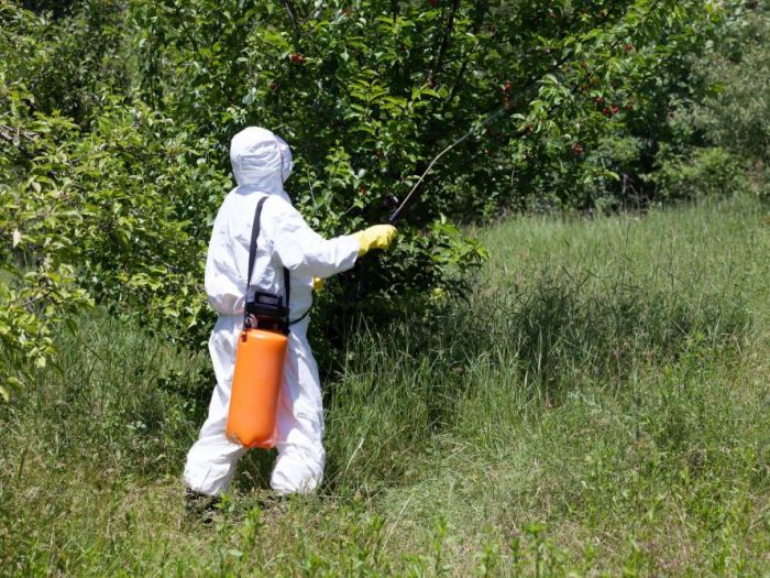 Archisio - Verdeidea - Progetto Pulizia e sanificazione