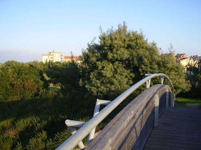 Archisio - Studio Di Architettura Mannelli - Progetto Parco pubblico in montalto di castro viterbo italy percorsi naturalistici nel parco archeologico della citt etrusco-romana di vulci italy
