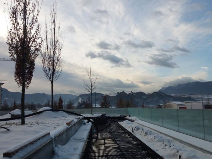 Archisio - Manuel Benedikter - Progetto Wga grieser auen