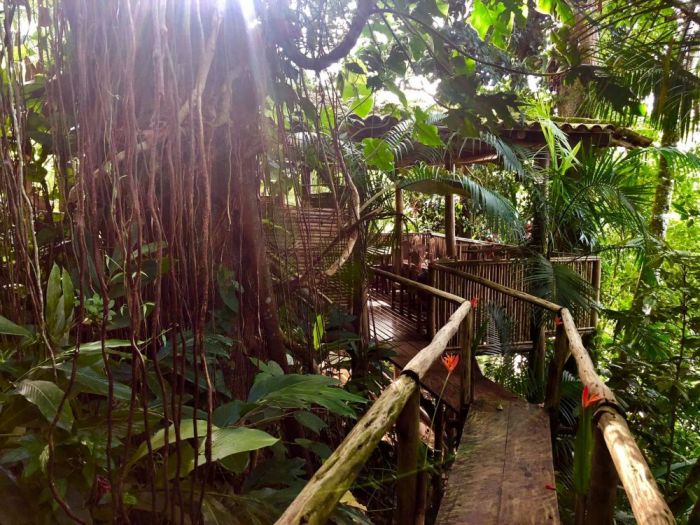 Archisio - Claudia Dibbe Piazza - Progetto Storica dellarte ed ingegnere agronomo Paesaggismo e home decor counselling