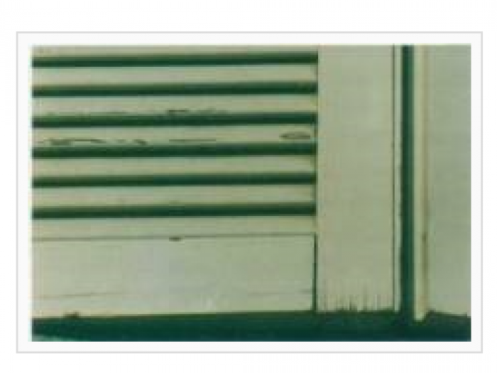 Archisio - Falgnameria Caccia E Carrara - Progetto Vernici