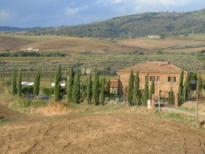 Archisio - Fgs Project Stp Sas - Progetto Azienda agricola