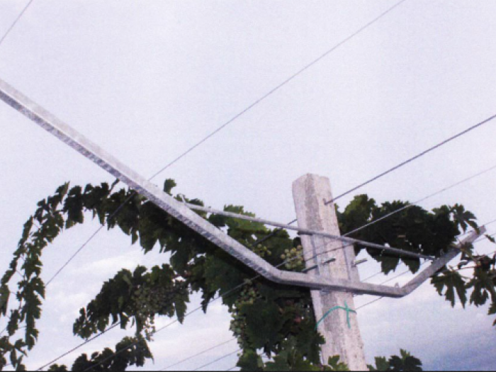 Archisio - Catalano Serramenti - Progetto Attrezzatura per vigneti e frutteti