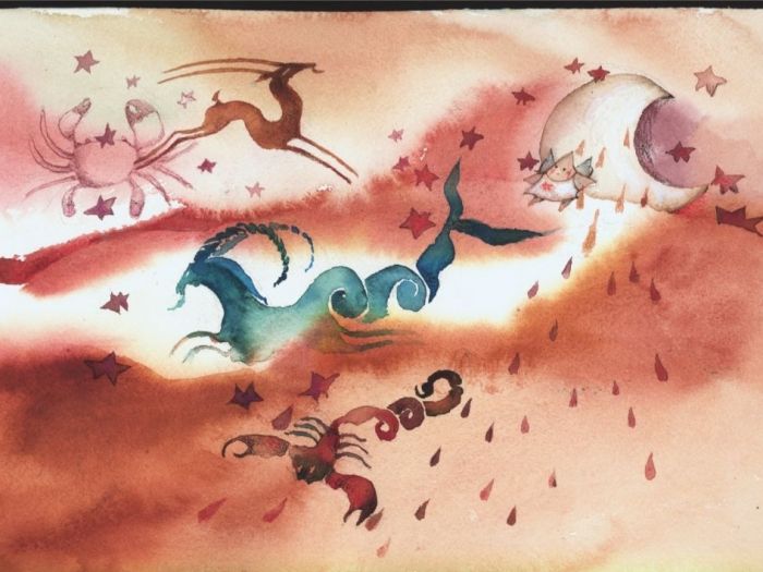 Archisio - Elisa Possenti - Progetto Stella cammina