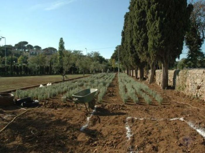 Archisio - Open Space Projects - Progetto Parco casale spagnolo orbetello