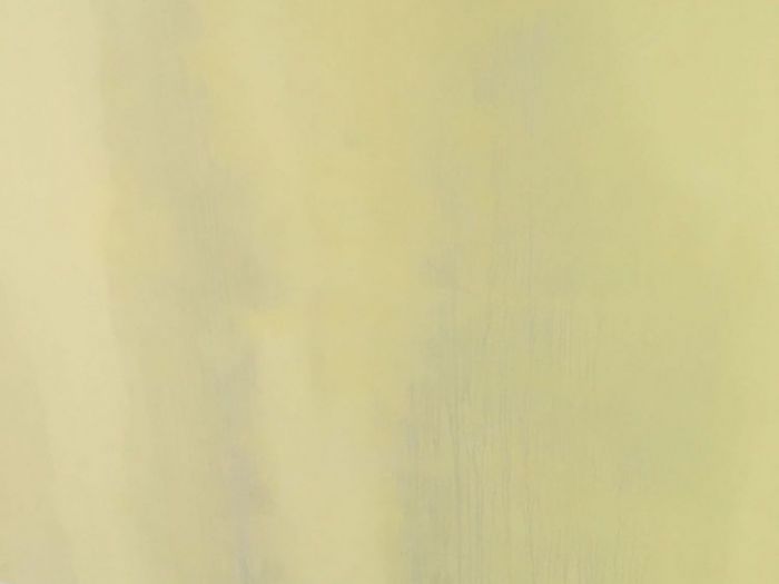 Archisio - Gimmirestauri - Progetto Pitture interne