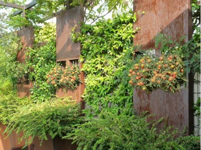 Archisio - Cristina Rampazzo - Progetto Giardino pensile - anno 2007