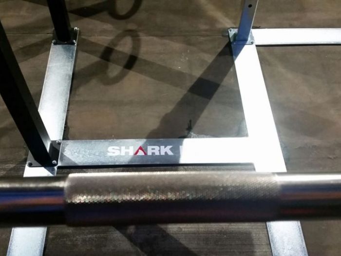 Archisio - Gianluca Bernardini - Progetto Palestra mad