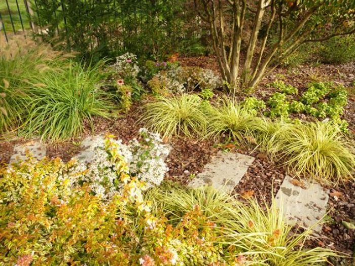 Archisio - Rizzi Giardini - Progetto Green turf