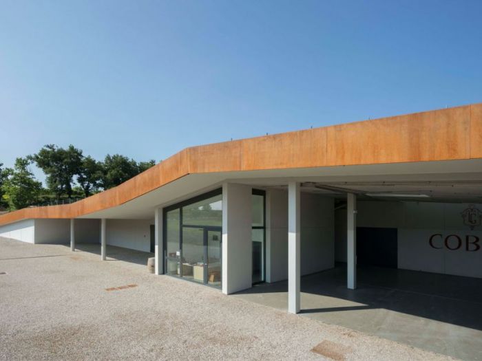 Archisio - Manuel Benedikter - Progetto Vineyard cobue