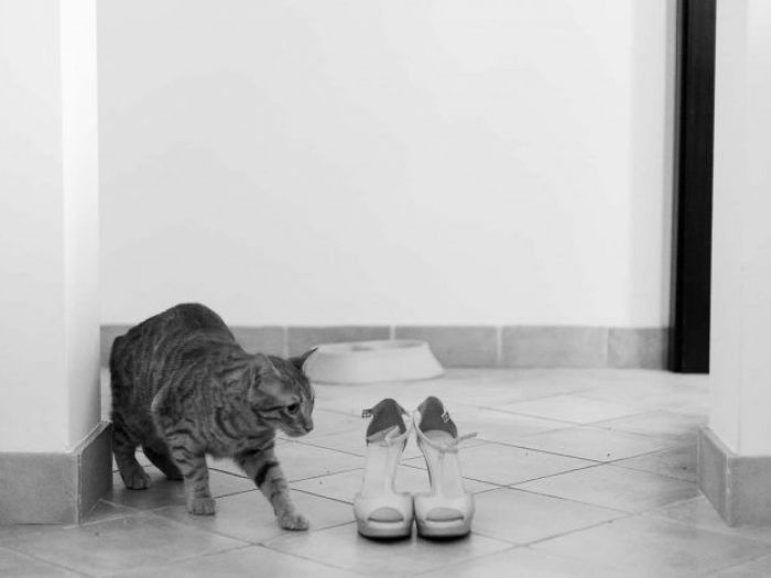 Archisio - Luigi Orru Fotografia - Progetto Fotografia matrimoniale