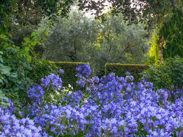 Archisio - Dario Fusaro Garden Photography - Progetto Giardini