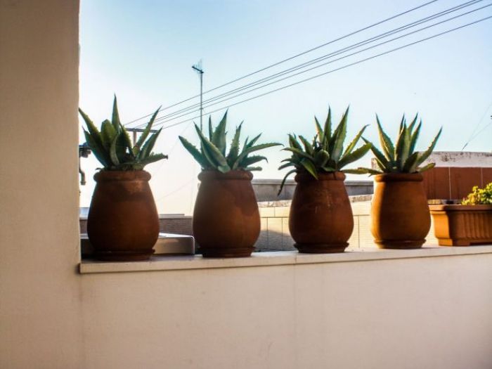 Archisio - Design Project - Progetto Cantar