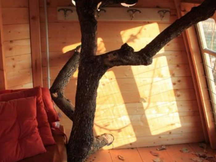 Archisio - Casalberi - Progetto Casetta sul caco