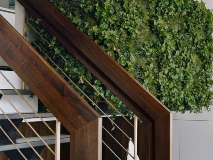 Archisio - Dotto Francesco Consulting Green - Progetto Verde verticale interno casa