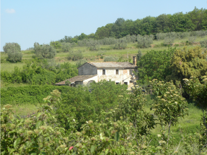 Archisio - Delfini Gian Luigi - Progetto Residenziale
