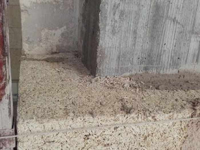 Archisio - Pedone Working - Progetto Case soter