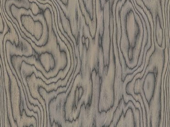 Archisio - Alpi spa - Progetto Collezioni allalpi