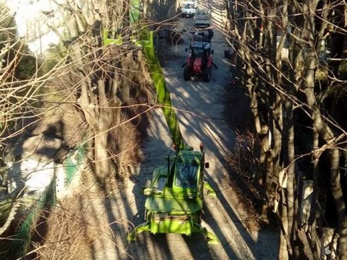 Archisio - I Giardini Dei Tudor - Progetto Potature e tagliamento di alberi