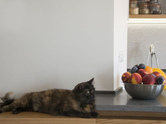 Archisio - Tonalite - Progetto Casa ostiense