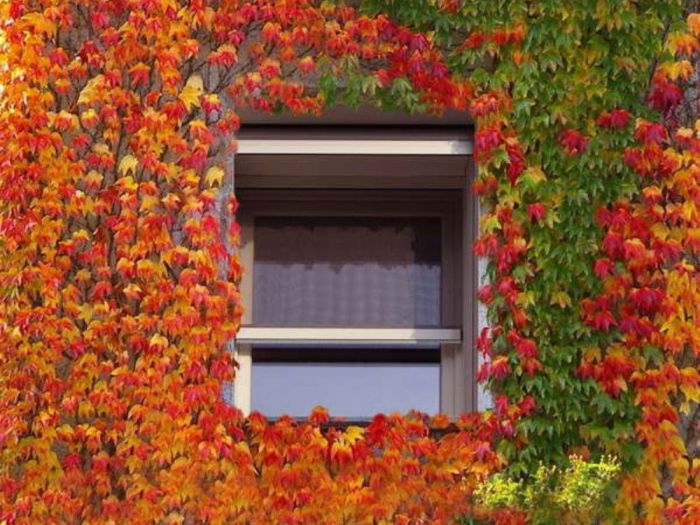 Archisio - Styl Porte Serramenti - Progetto Avvolgibili zanzariere