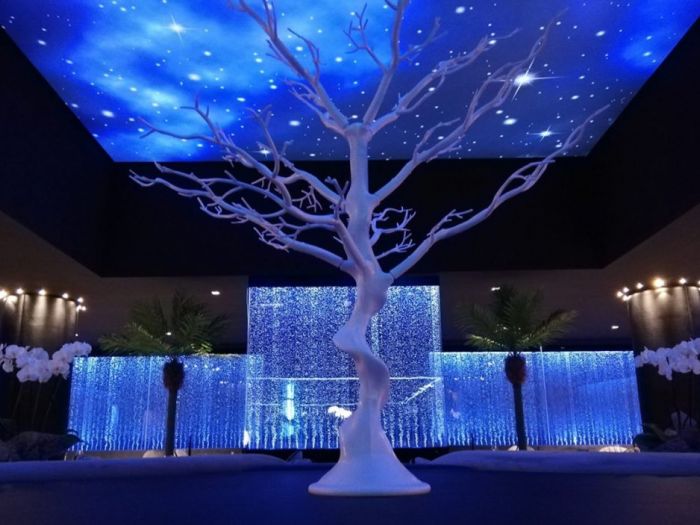 Archisio - Forme Dacqua - Progetto Pareti dacqua con bolle daria ristorante lincontro