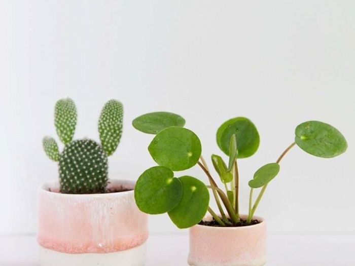 Archisio - Anna Claudia Bufo - Progetto Enjoy the little things