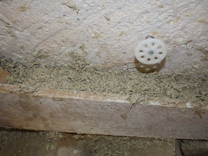 Archisio - Messapia Style - Progetto Masseria castrignano del capo